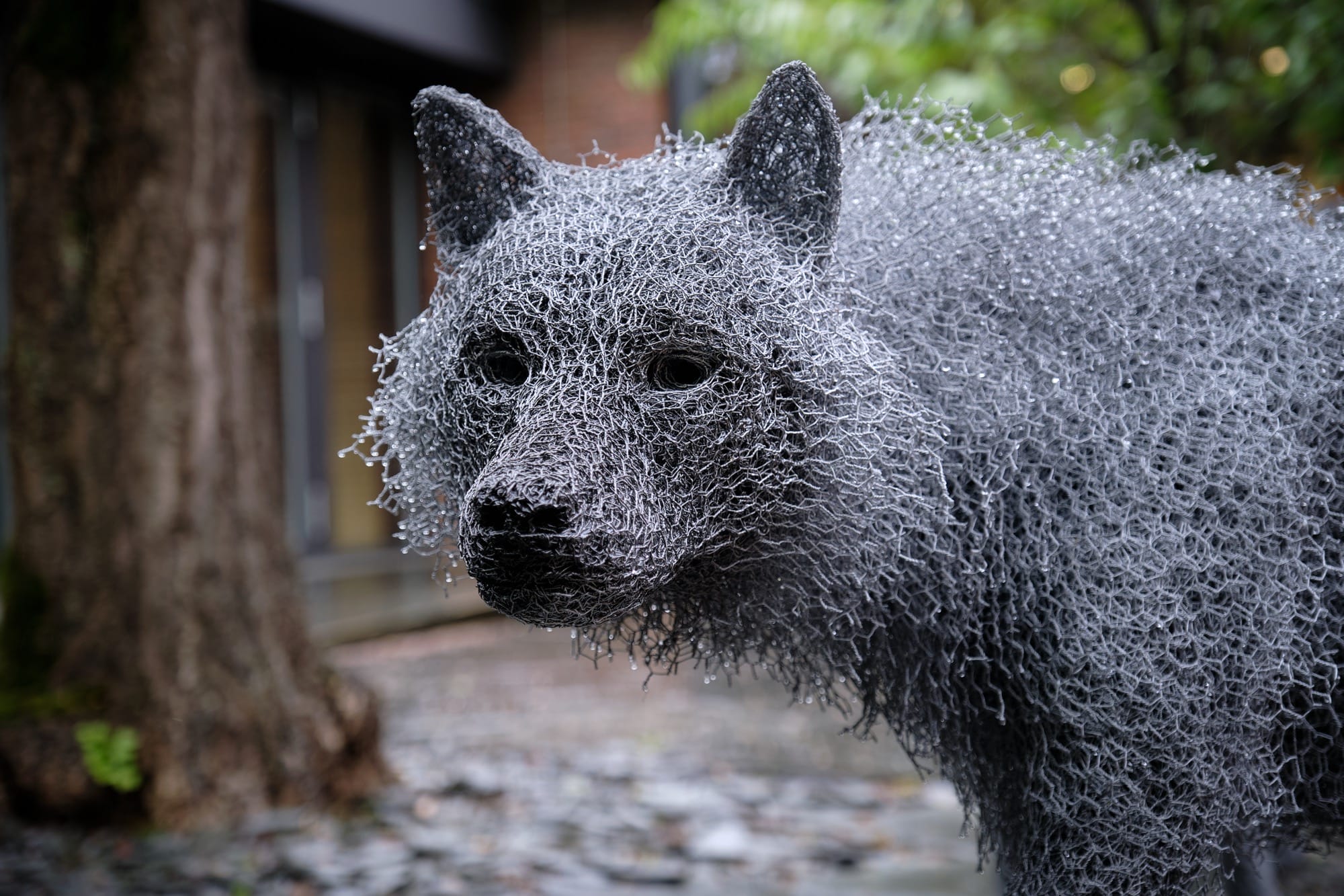 Kendra Haste: Big Bad Wolf