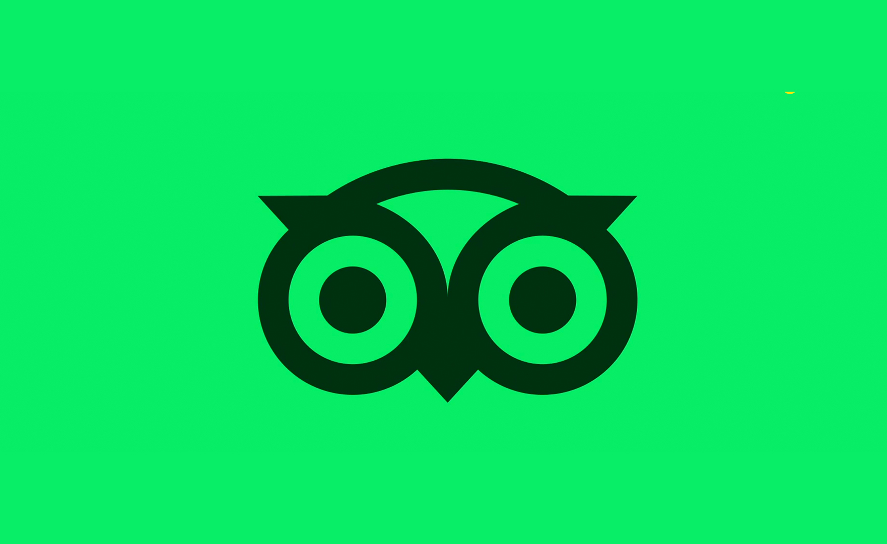 TripAdvisor’s new logo features a vibrant Ollie owl with a fresh design and Instagram-worthy reveal, using colors like Trip Pine and Trip White.