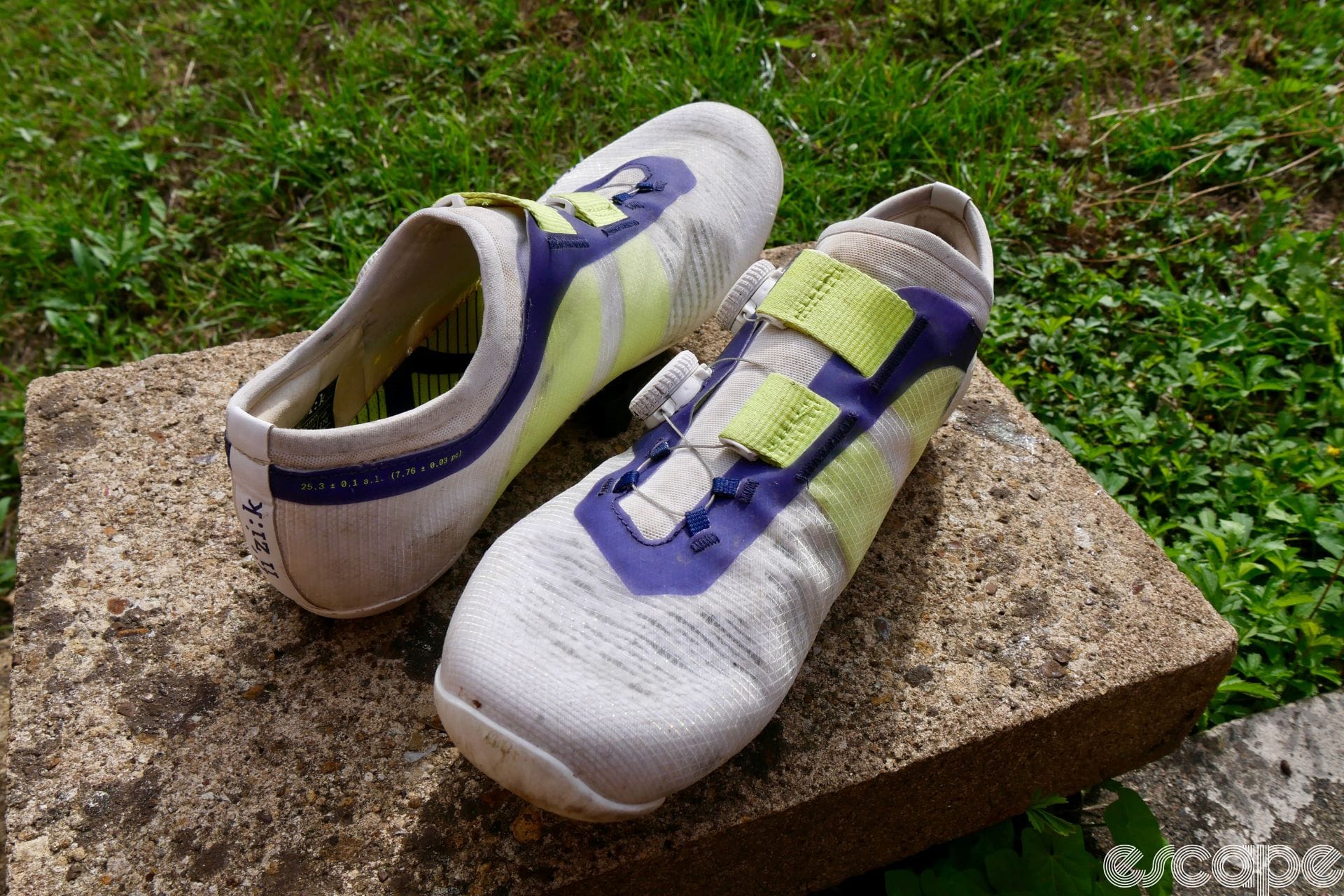 The Fizik Vega offers an anatomically designed sock with wide support for road and training rides, though limited to sizes 36-48.