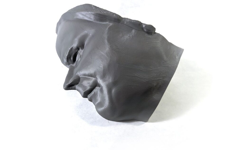 PLA Printout of my head